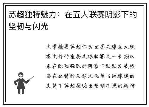 苏超独特魅力:在五大联赛阴影下的坚韧与闪光 苏超独特魅力:在五大联赛阴影下的坚韧与闪光